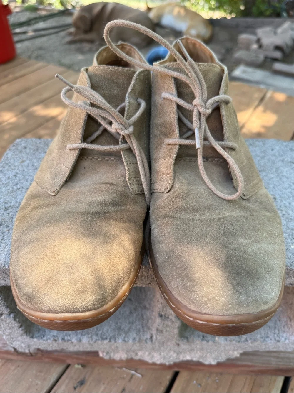 Born Men's Asten suede chukka boots in a desert sand or taupe color